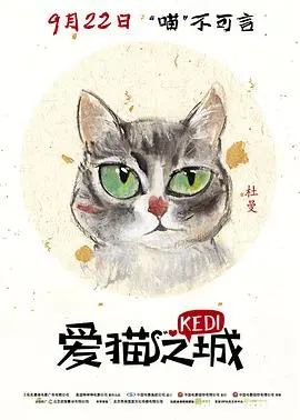 《爱猫之城》：喵星人的伊斯坦布尔奇遇记，一场治愈心灵的猫咪乌托邦之旅