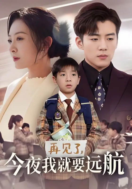 《再见了今夜我就要远航》影评：一场关于告别与重生的心灵旅程