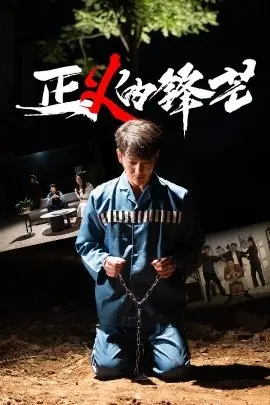 《正义的锋芒》：一场触及灵魂的较量，当法律遇上人性，谁才是真正的审判者？